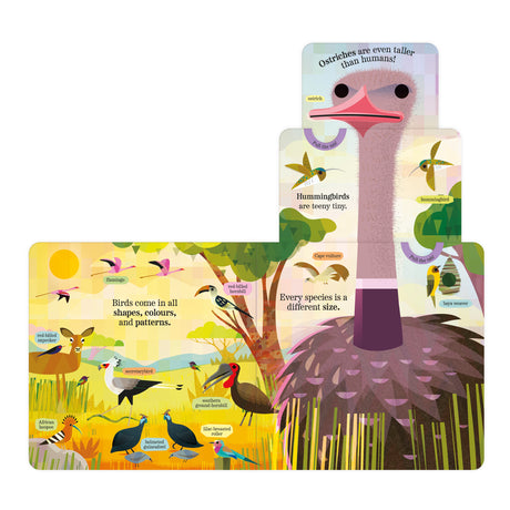 Beautiful Birds - My Nature Pull-Tab Board Book