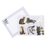 Patricia MacCarthy Notecards and Envelope Set - Cat Design