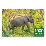 Sri Lankan Elephant - 1000 Piece Puzzle