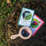 Peter Rabbit Bug Spotter Activity Set