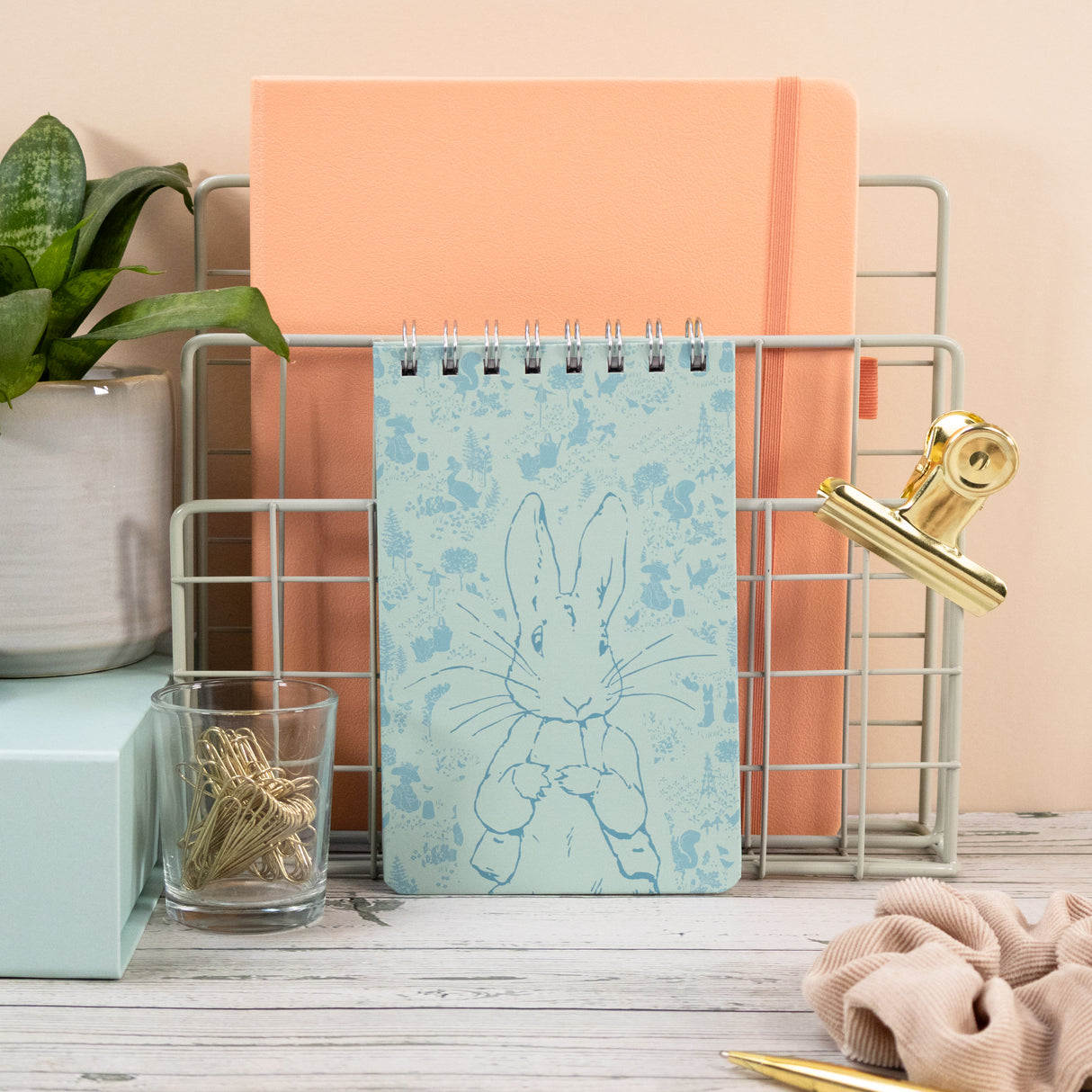 Peter Rabbit Wired Notepad