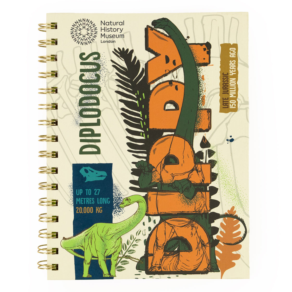 Natural History Museum Dinosaur A5 Wired Notebook with Dividers - Dippy