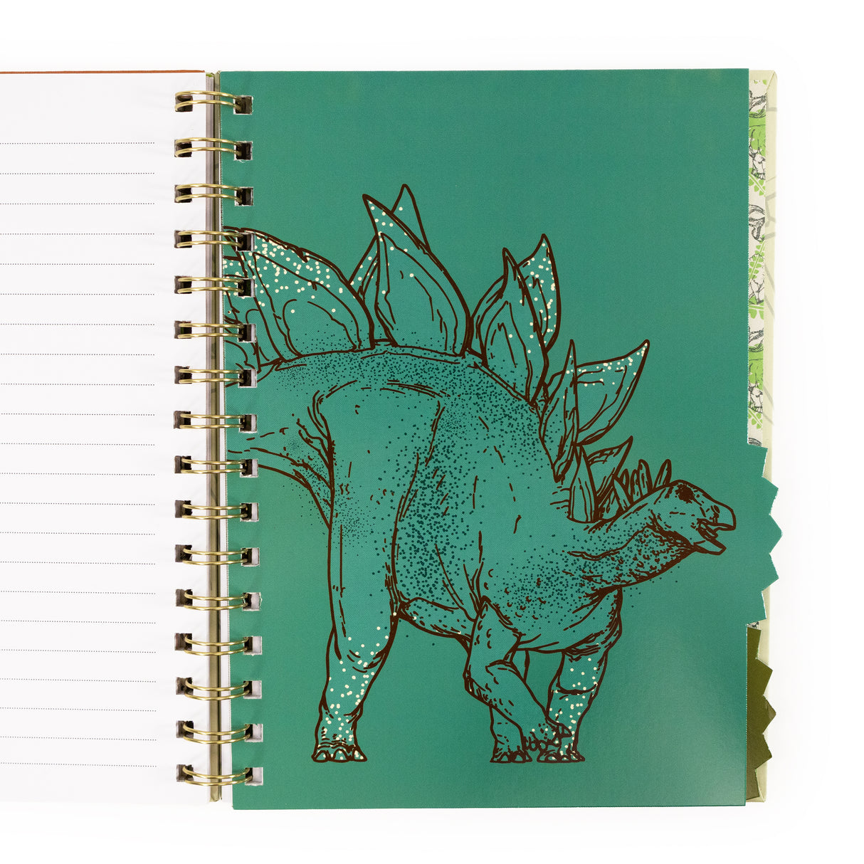 Natural History Museum Dinosaur A5 Wired Notebook with Dividers - Dippy