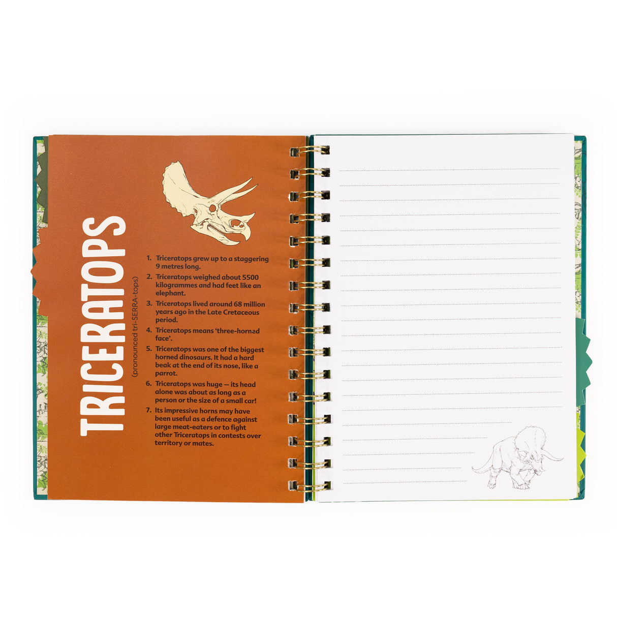 Natural History Museum Dinosaur A5 Wired Notebook with Dividers - T- Rex