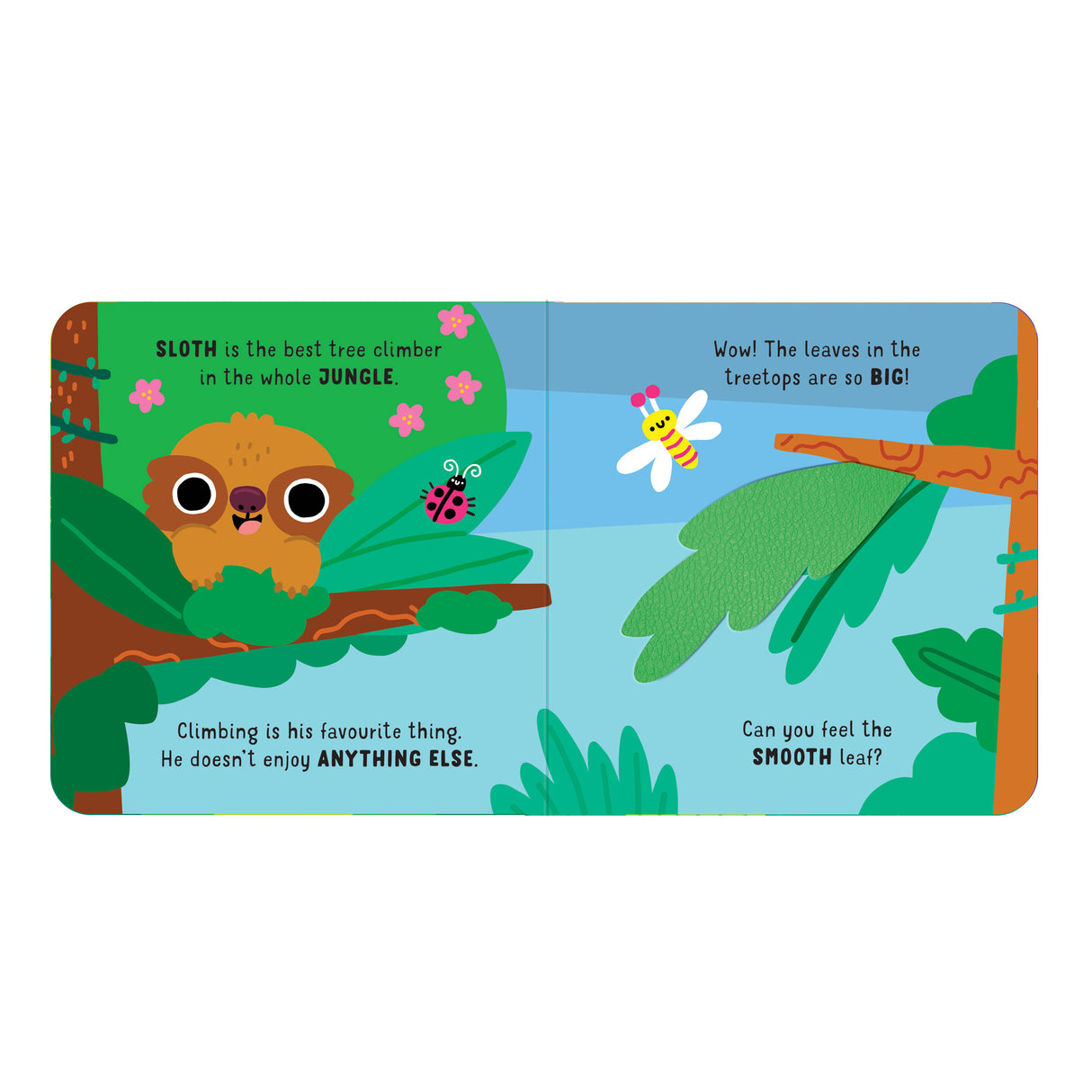 Sloth’s Surprise – Touch & Feel Board Book - Jungle Sensory Adventure
