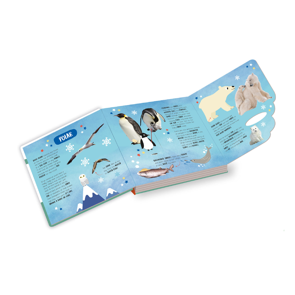 Habitats: From All Around the World - Children’s Lift-the-Flap Book