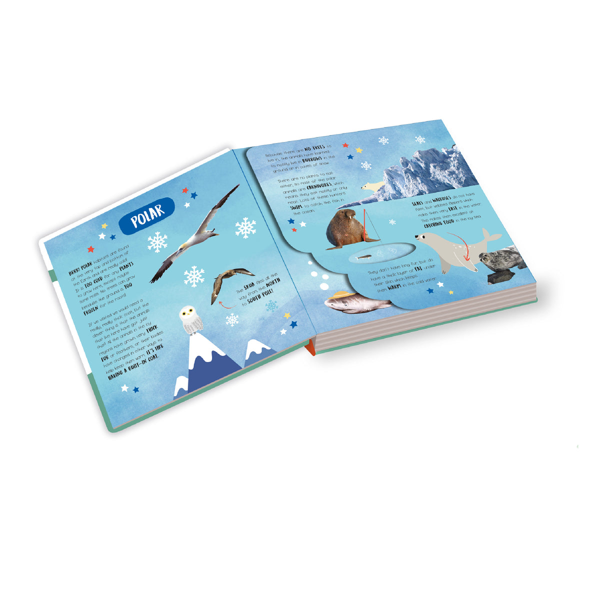 Habitats: From All Around the World - Children’s Lift-the-Flap Book