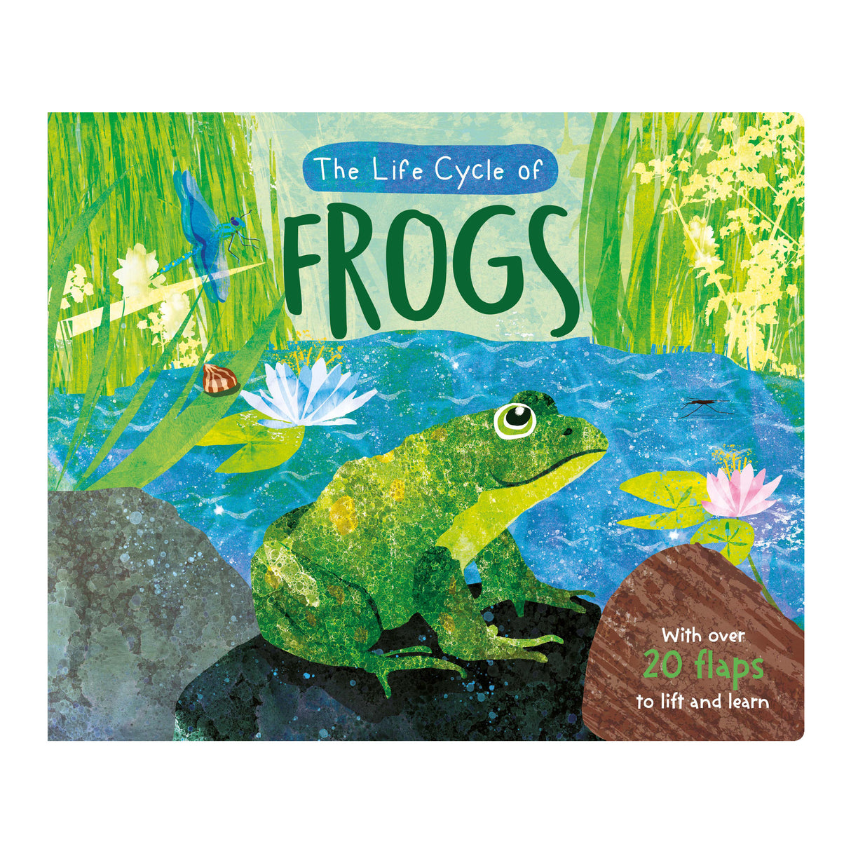 The Life Cycle of Frogs - Children’s Lift-the-Flap Book