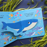 Seal in the Sea – Children’s Pop-Up Book