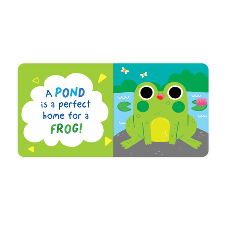 A Home For A Frog – Children’s Fun Wobbly Eye Book