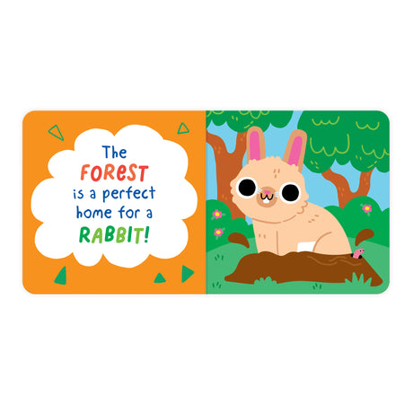 A Home For A Rabbit - Fun Wobbly-Eye Board Book for Babies & Toddlers