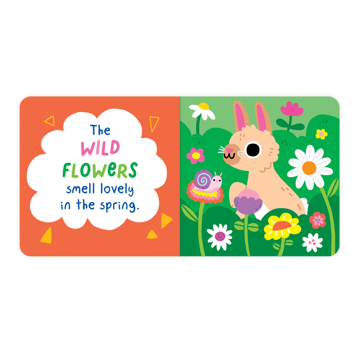 A Home For A Rabbit - Fun Wobbly-Eye Board Book for Babies & Toddlers