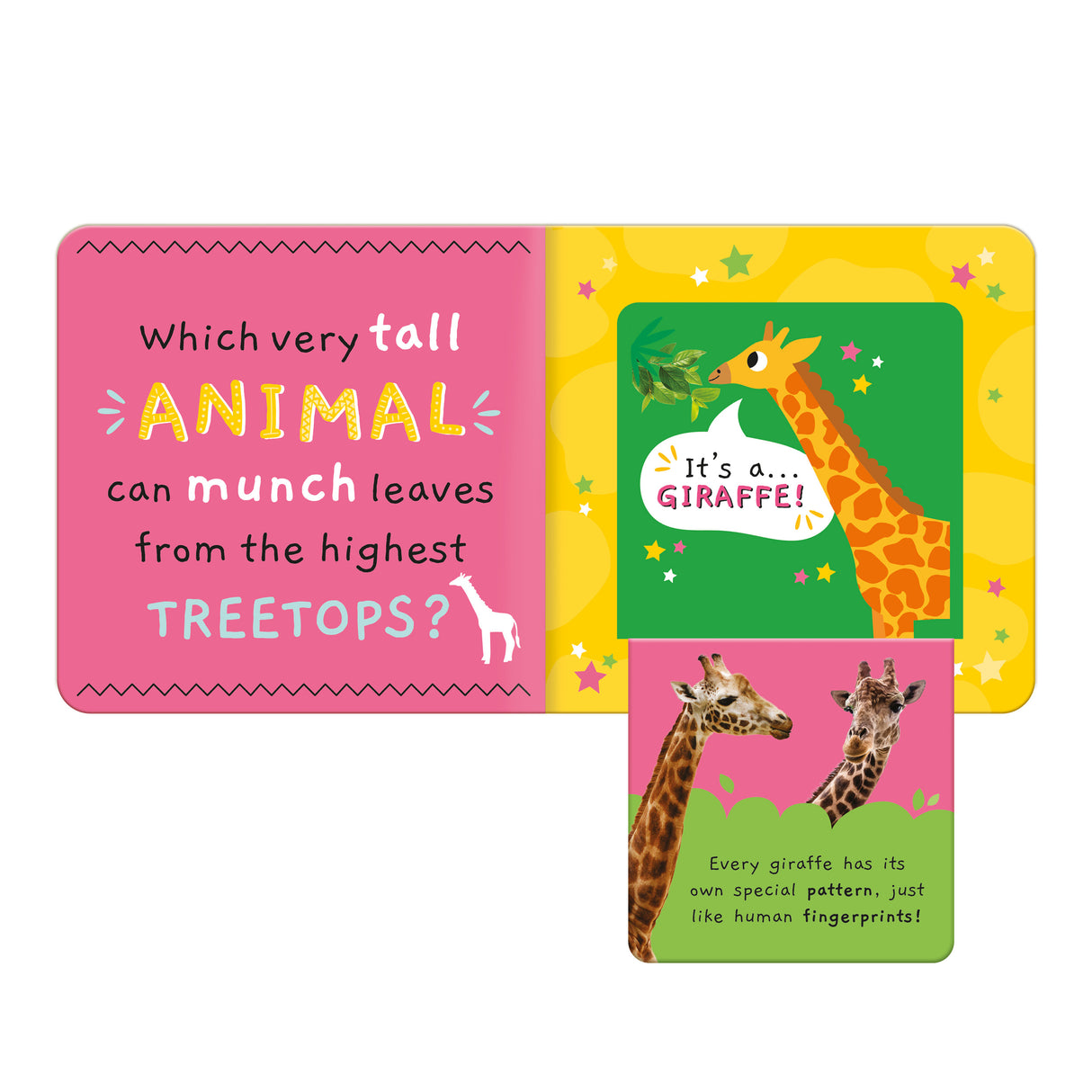 My First Facts Animals – Learning Lift-the-Flap Board Book