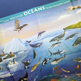 Discover Oceans Educational Box Set