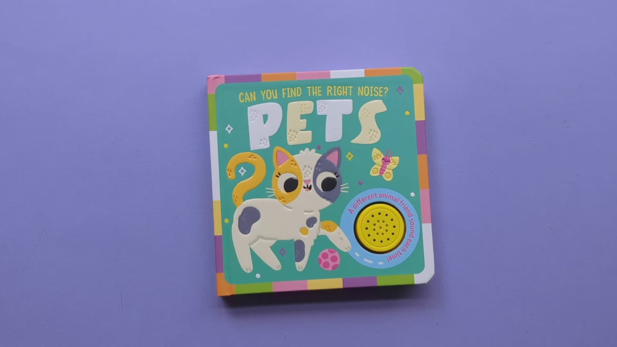 Pets - Can You Find The Right Noise?