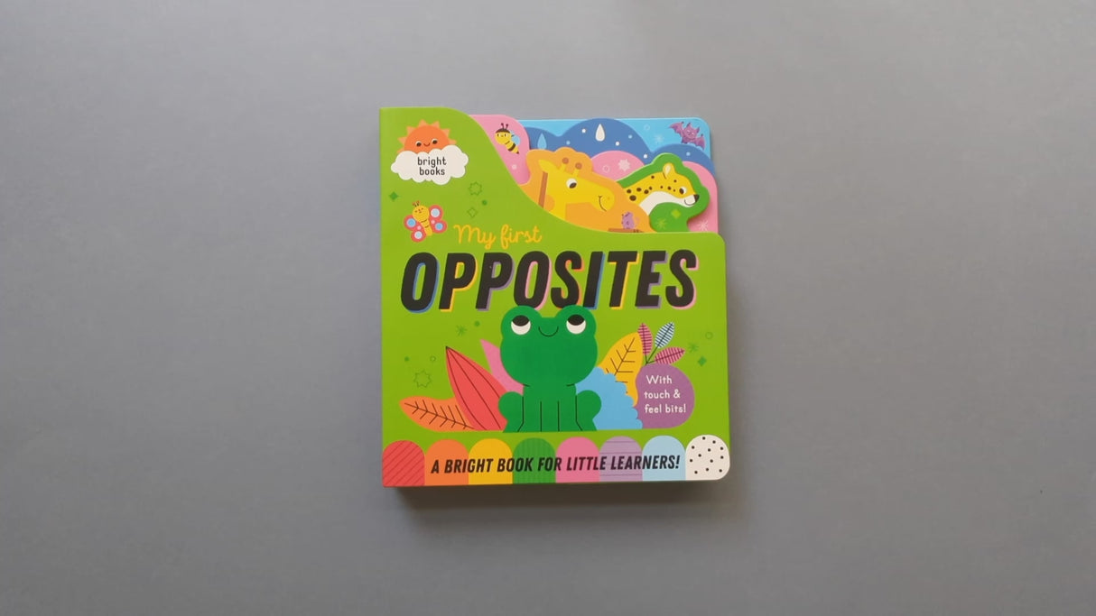 My First Opposites - Chunky Early Learning Book