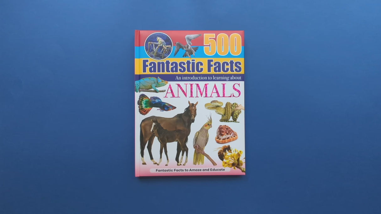 500 Fantastic Facts - Animals - Children's Reference Book