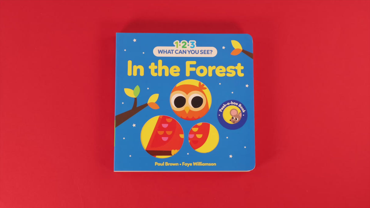 123 What Can You See - In the Forest