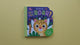 Did You Roar? - Children’s Lift-The-Flap Board Book