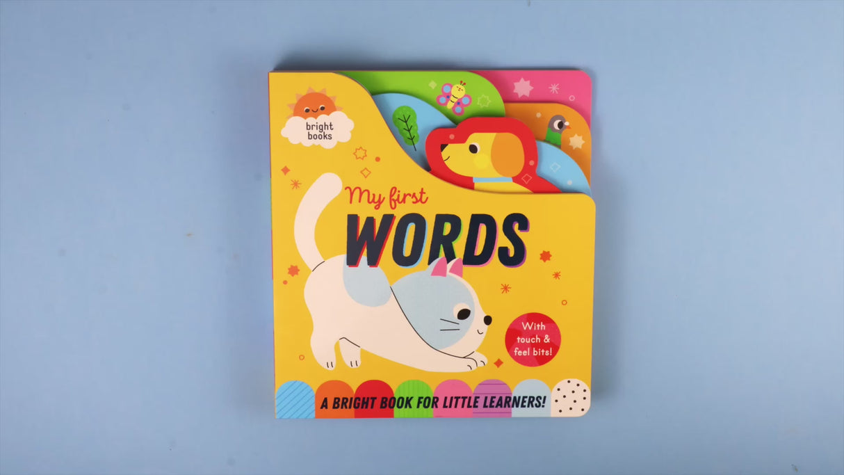 My First Words - Chunky Early Learning Book