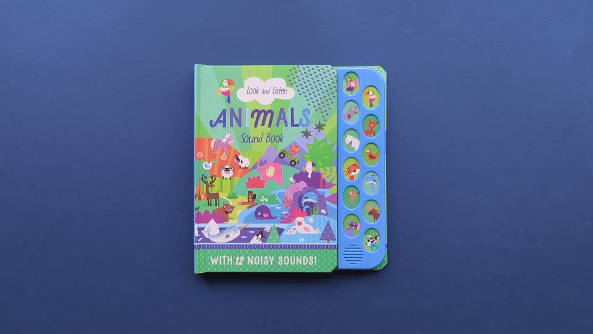 Look and Listen Animals - Children's 12 Button Sound Book