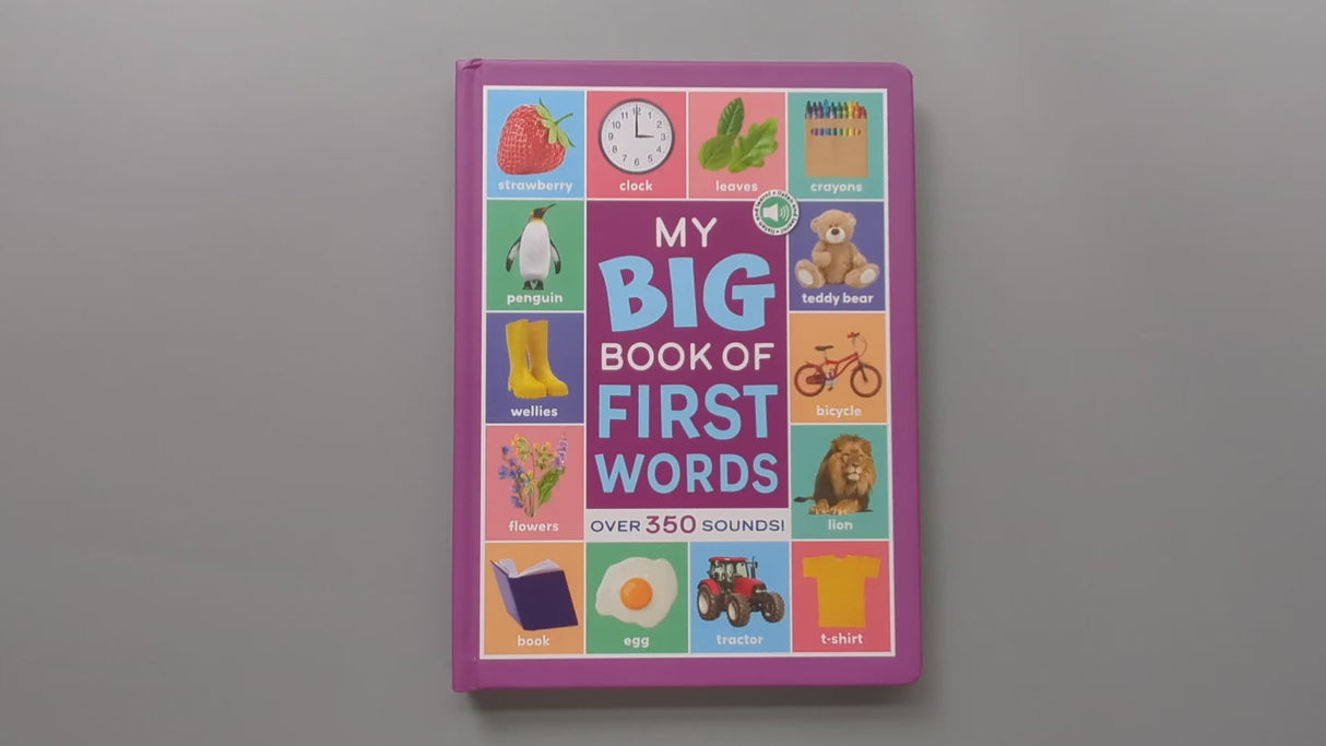 My Big Book of First Words – Children’s Educational Sound Book
