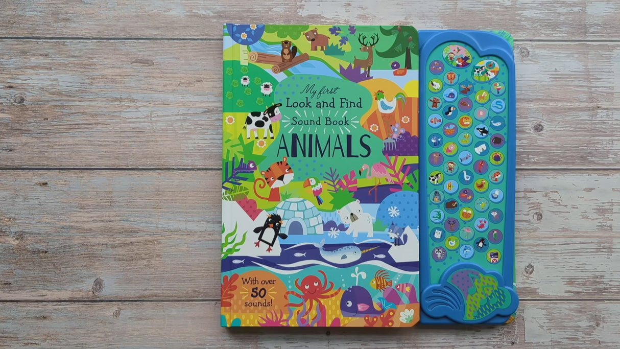 My First Look and Find Animals - Children's 50 Button Sound Book
