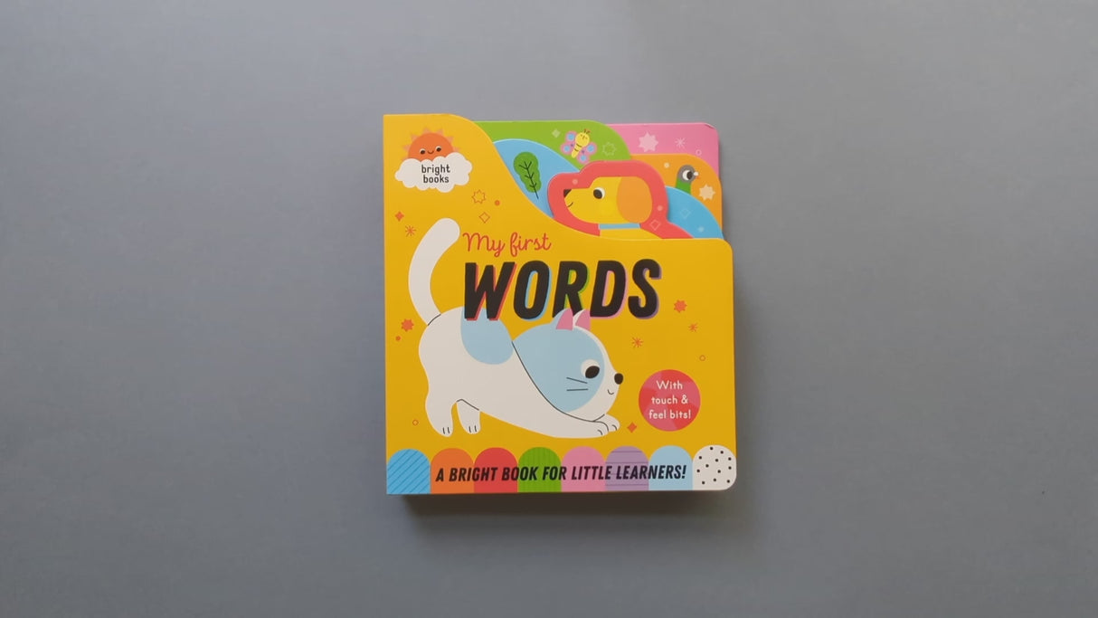 My First Words - Chunky Early Learning Book